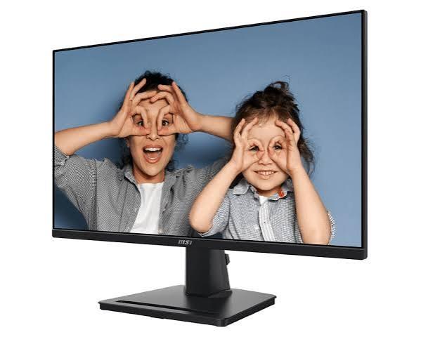 MSI 15.6" FHD Portable Monitor